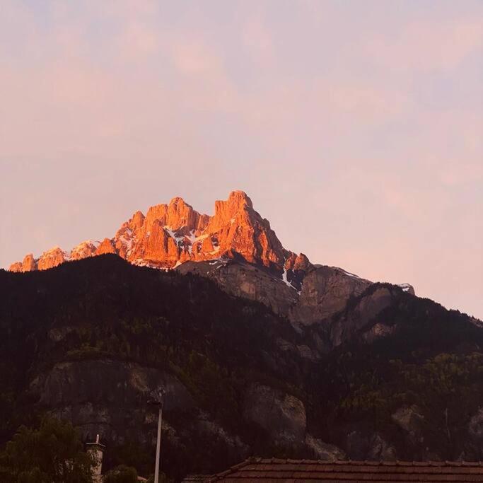 Appartement Au Pays Du Mont-Blanc سالونش المظهر الخارجي الصورة