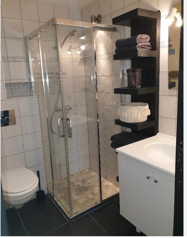 Appartement Au Pays Du Mont-Blanc سالونش المظهر الخارجي الصورة